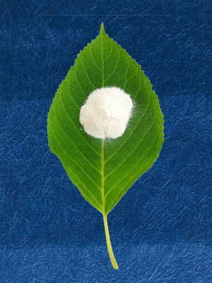 藍プロポリスA: 天然素材からの抽出物を粉末化