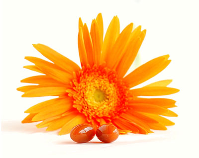 パフィアレディ力